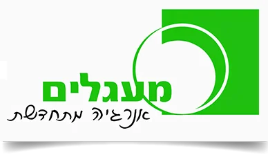 מתקן פוטו וולטאי